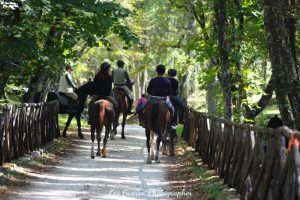 Escursione a cavallo nella Foresta Umbra
